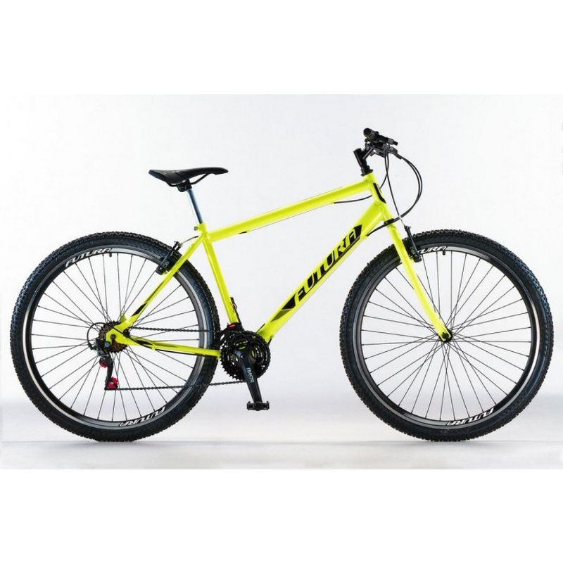 Bicic-futura-tecno-29